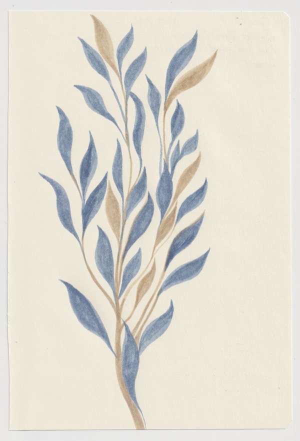 A Plant Thinking About the Sea